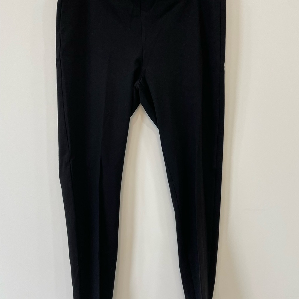 Eileen Fisher Washable stretch Crepe Pant